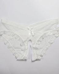 Mesh Crotchless Sexy Transparent Temptation Briefs