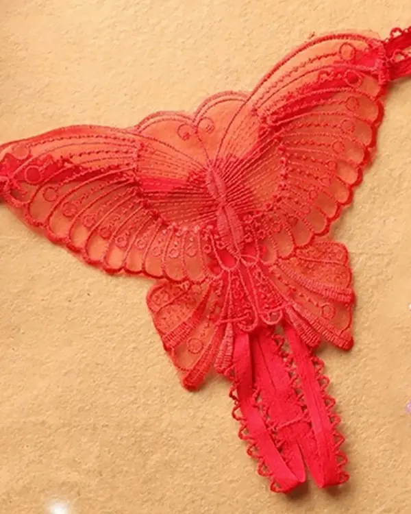 Butterfly Pattern Lace Panty
