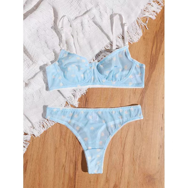 Bra Set Mesh See-Through Briefs Sexy Lingerie